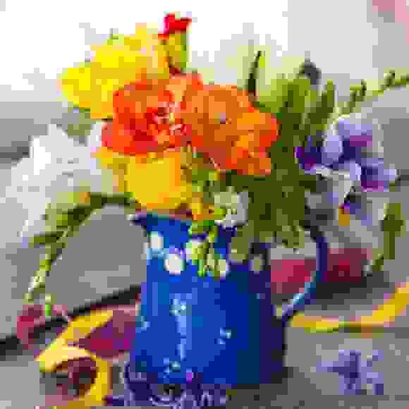 Freesia 